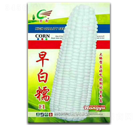 ���Ŵ-Ŵ��������-����