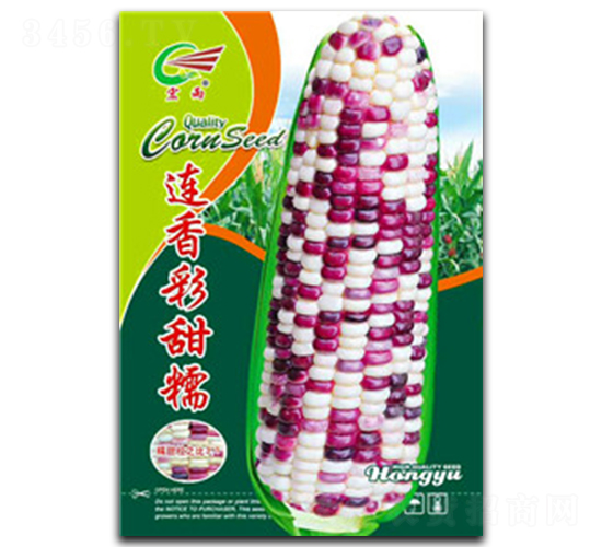 �������Ŵ-Ŵ��������-����