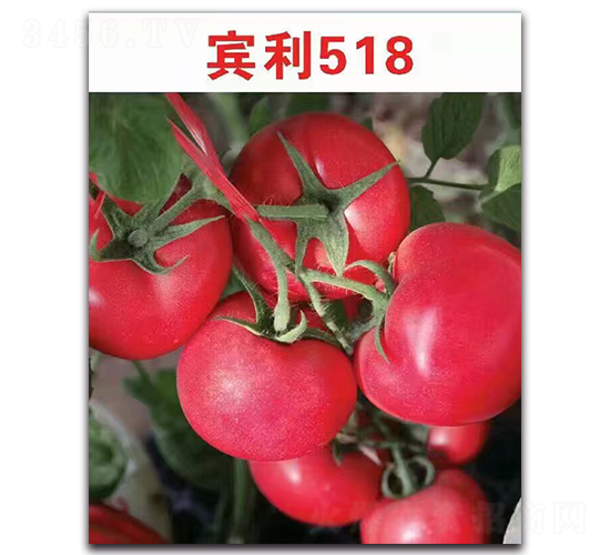 ����518F1-�۹���������-Ψũ��ҵ