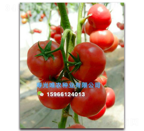 ����360F1-�۹���������-Ψũ��ҵ