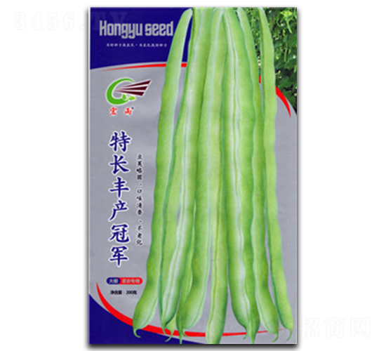�س�����ھ�-ܿ������-����