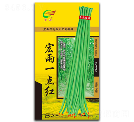 ����һ��죨С��-��������-����