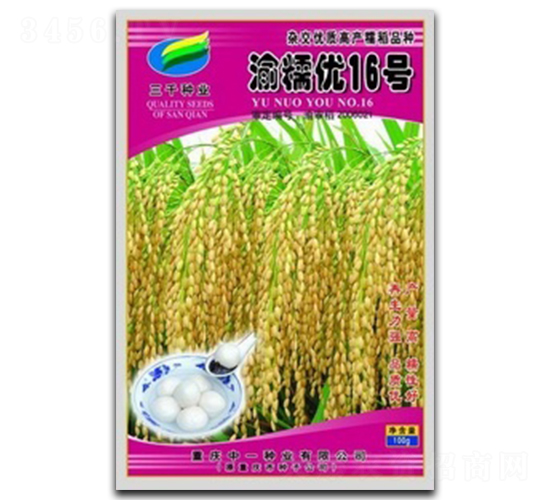 ��Ŵ��16��-ˮ������-��һ��ҵ