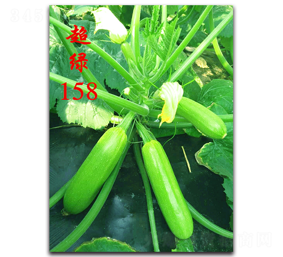 ����158-����������«����-ũ��ũҵ