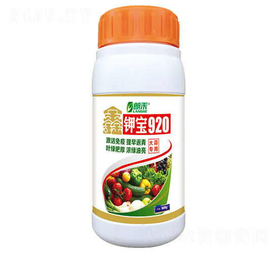 600g�μر�920-�ʺ�-�λ�����