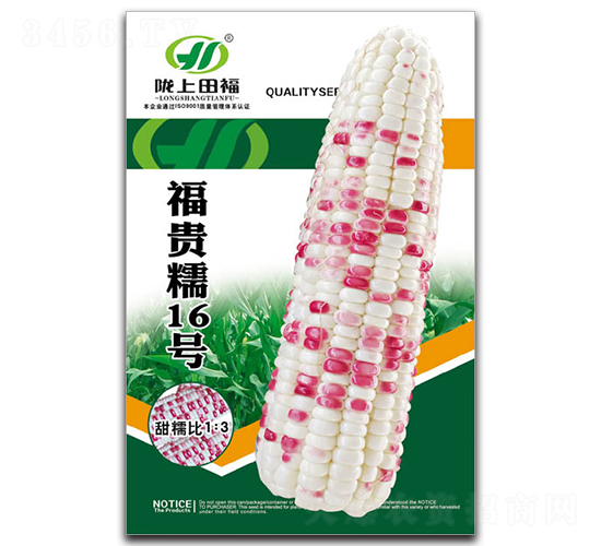 ����Ŵ16��-��������-�︣ũҵ