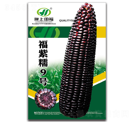 ����Ŵ9��-��������-�︣ũҵ