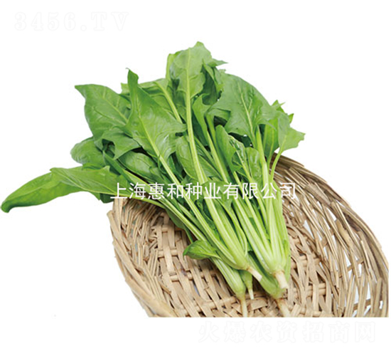 �̲�75-��������-�ݺ���ҵ