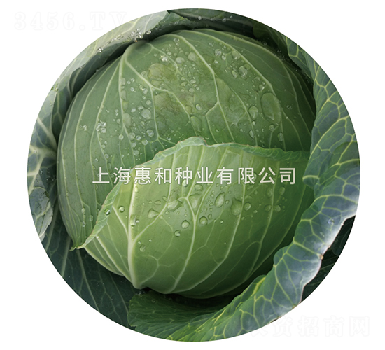 ����605-��������-�ݺ���ҵ