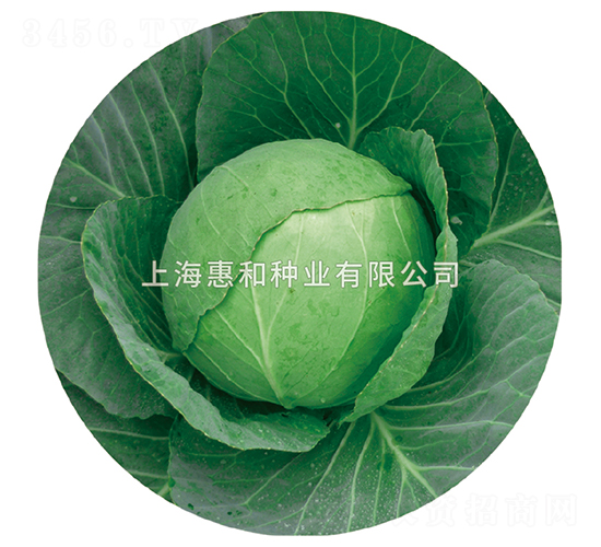 �䱦-��������-�ݺ���ҵ