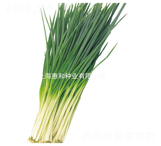 �����-С������-�ݺ���ҵ
