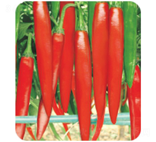 �캢��404-��������-����ũҵ