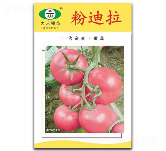 �۵���-��������-����ũҵ