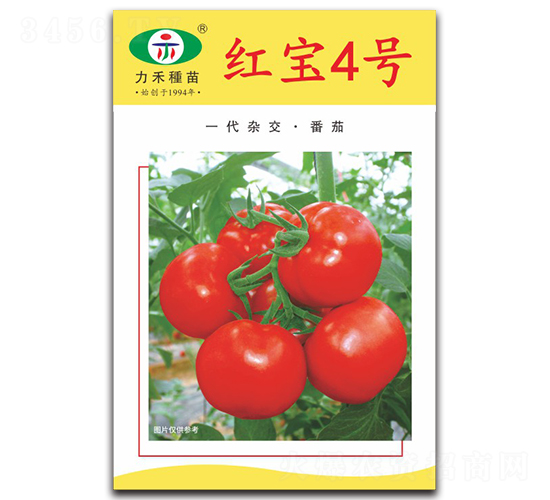�챦4��-��������-����ũҵ
