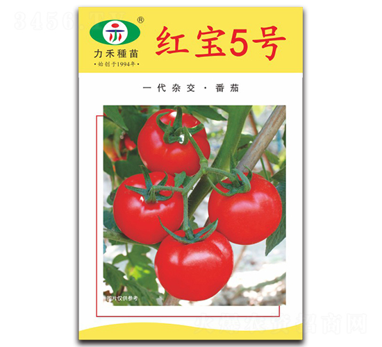 �챦5��-��������-����ũҵ