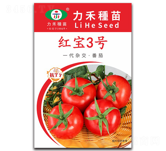 �챦3��-��������-����ũҵ