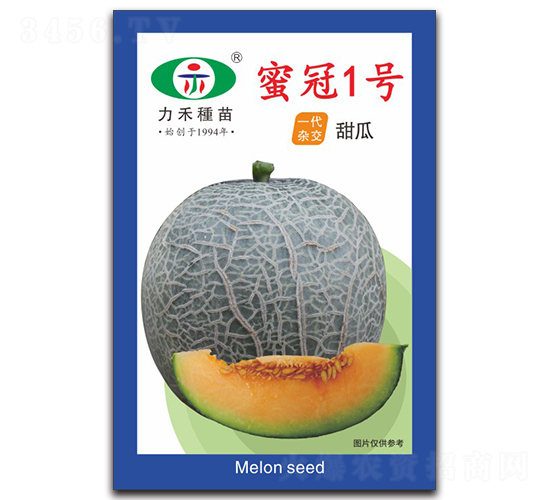 �۹�1��-�������-����ũҵ