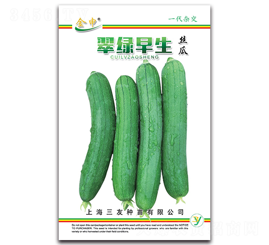 ��������˿��-˿������-����