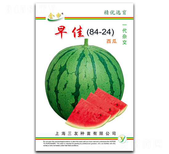 ���84-24-��������-����