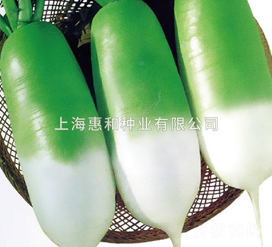 ���-�ܲ�����-�ݺ���ҵ