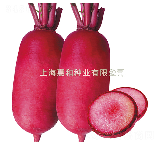 ������-�ܲ�����-�ݺ���ҵ