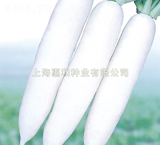 ����ʹ-�ܲ�����-�ݺ���ҵ