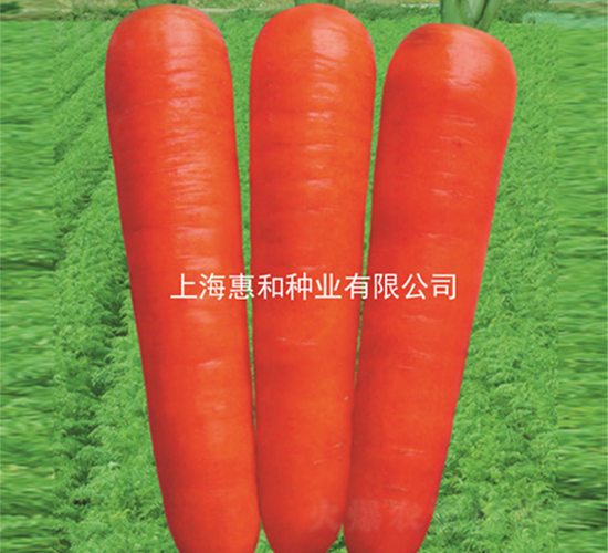 �춼107-���ܲ�����-�ݺ���ҵ