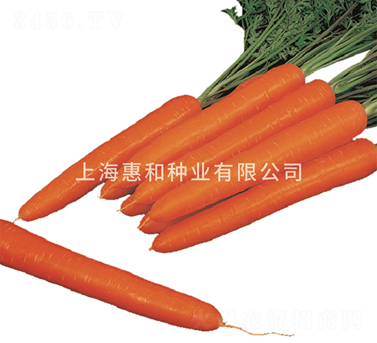 ����-���ܲ�����-�ݺ���ҵ
