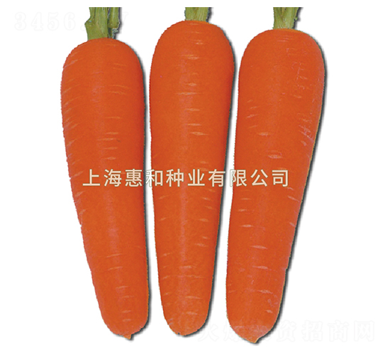 �춼238-���ܲ�����-�ݺ���ҵ
