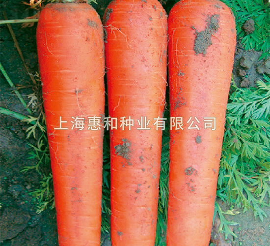�춼601-���ܲ�����-�ݺ���ҵ