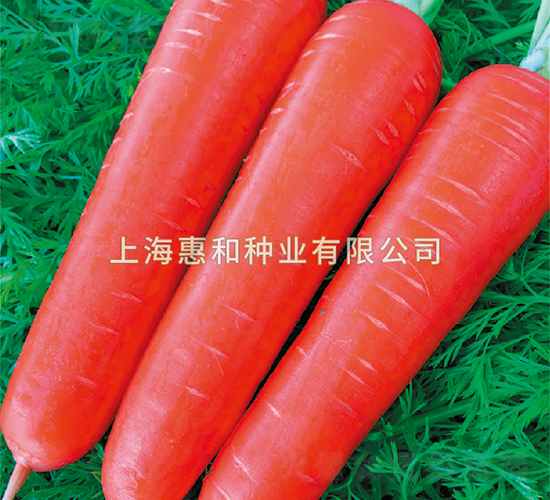 ά˹-���ܲ�����-�ݺ���ҵ