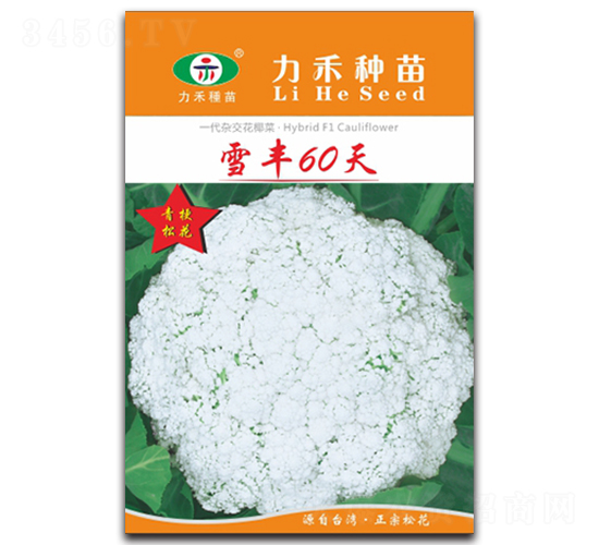ѩ��60��-��������-����ũҵ