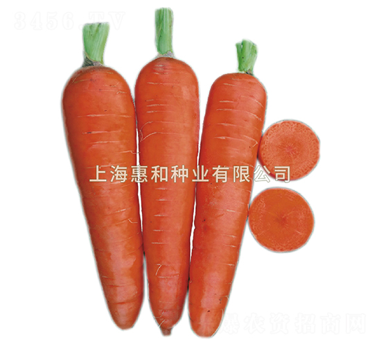 ��³˹-���ܲ�����-�ݺ���ҵ