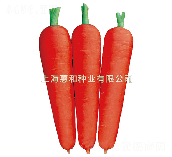 ����˹һ��-���ܲ�����-�ݺ���ҵ