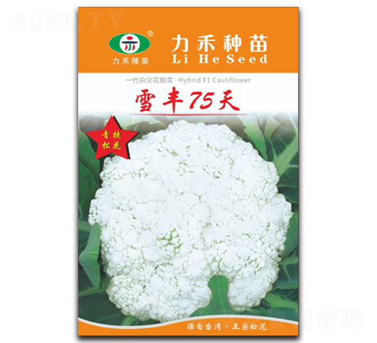 ѩ��75��-��������-����ũҵ