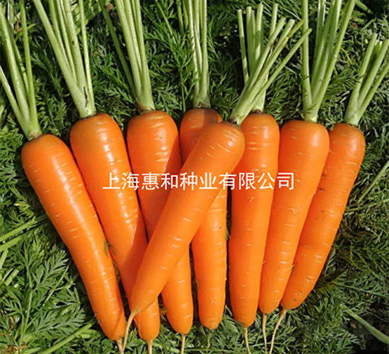 �ɰ�˹-���ܲ�����-�ݺ���ҵ