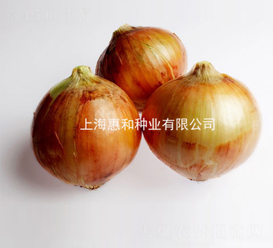 ���������-�������-�ݺ���ҵ