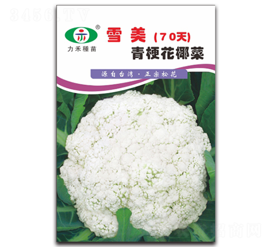 ѩ��70��-��������-����ũҵ