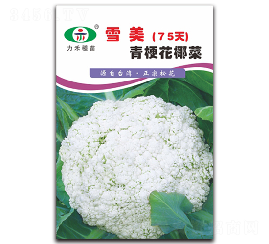 ѩ��75��-��������-����ũҵ