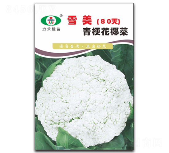 ѩ��80��-��������-����ũҵ