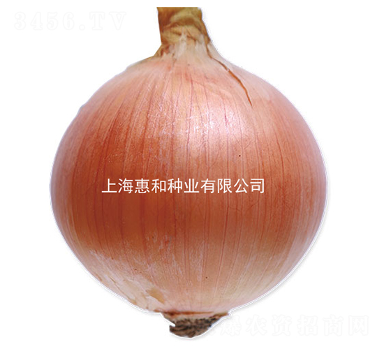 �ۻƶ���-�������-�ݺ���ҵ