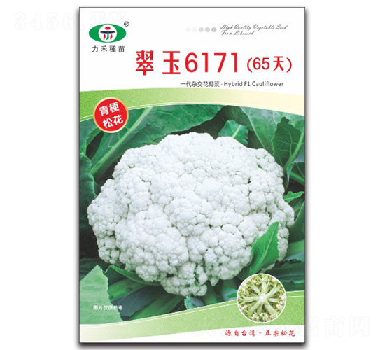 ����6171��65�죩-��������-����ũҵ
