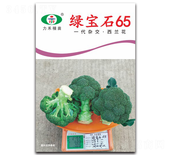 �̱�ʯ65-����������-����ũҵ