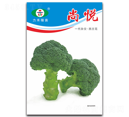 ����-����������-����ũҵ