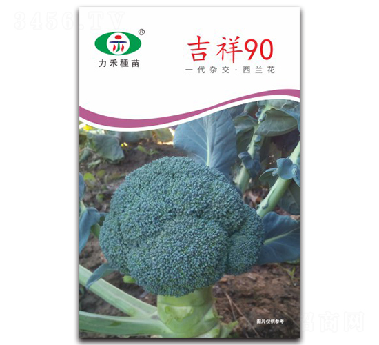 ����90-����������-����ũҵ