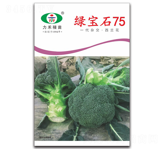 �̱�ʯ75-����������-����ũҵ