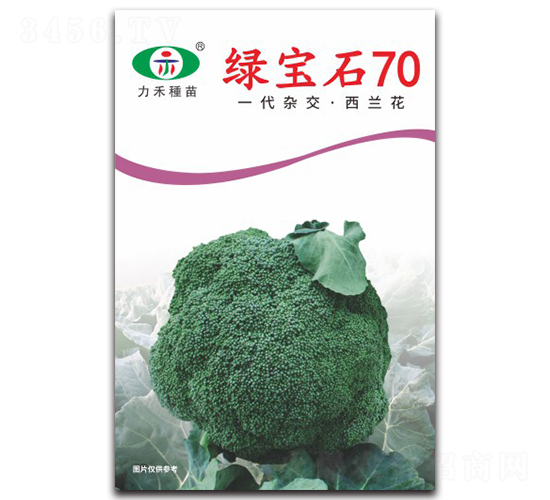 �̱�ʯ70-����������-����ũҵ