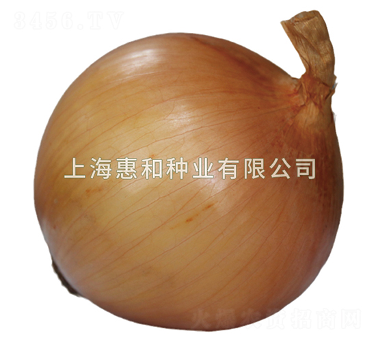 ��ʤ804-�������-�ݺ���ҵ