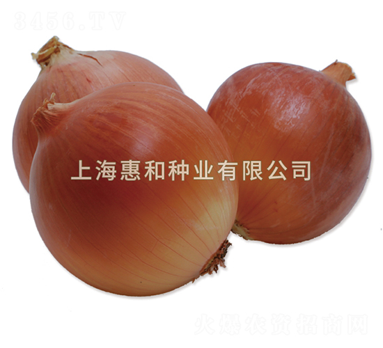 ��ʤ701-�������-�ݺ���ҵ