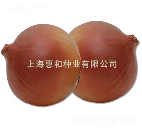 �Ʒ�84-�������-�ݺ���ҵ